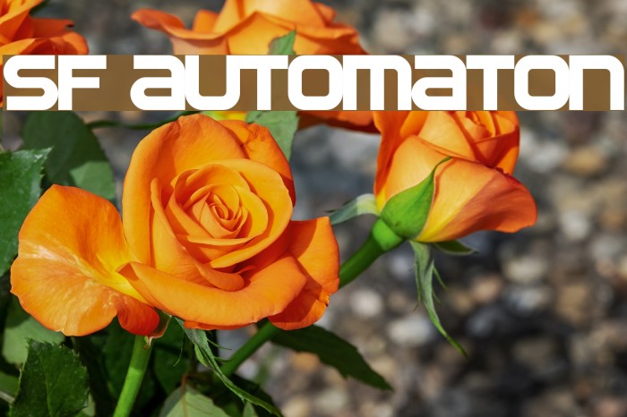 SF Automaton Font examples