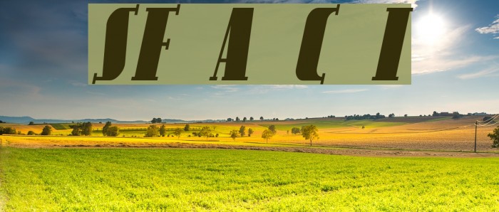 SF Avondale Cond Italic Example 3