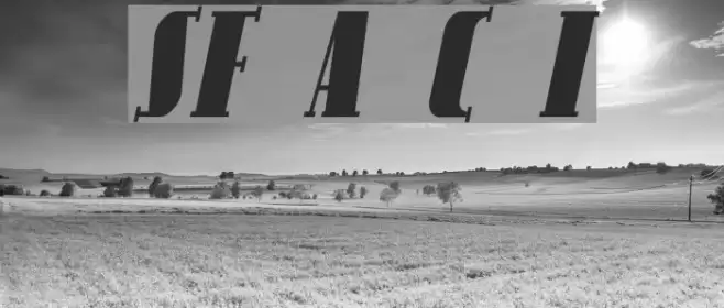 SF Avondale Cond Italic Font examples