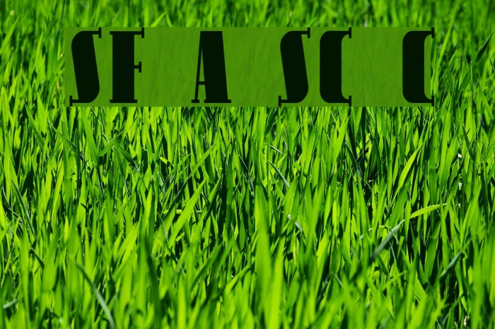 SF Avondale SC Cond Example 1