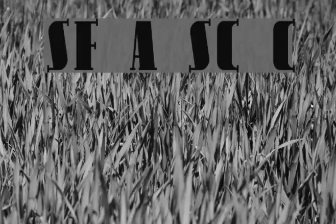 SF Avondale SC Cond Font examples