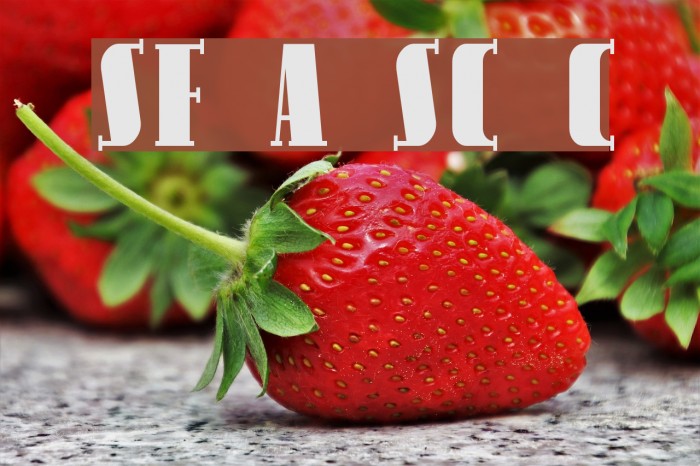 SF Avondale SC Cond Example 2