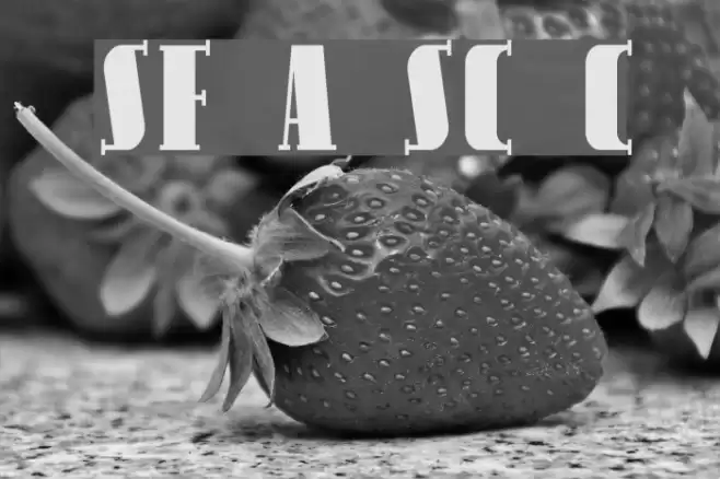 SF Avondale SC Cond Font examples