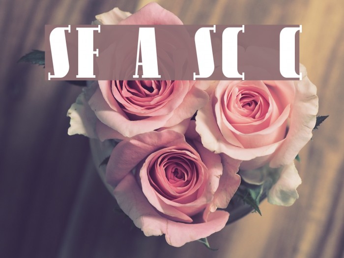 SF Avondale SC Cond Example 3