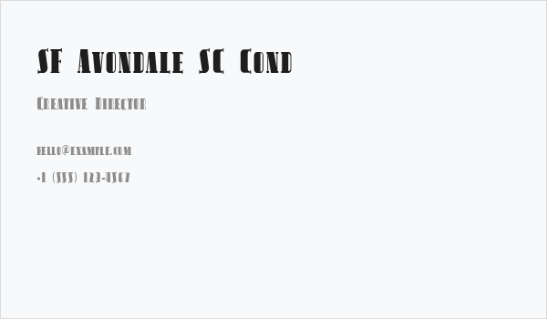 SF Avondale SC Cond Business Card