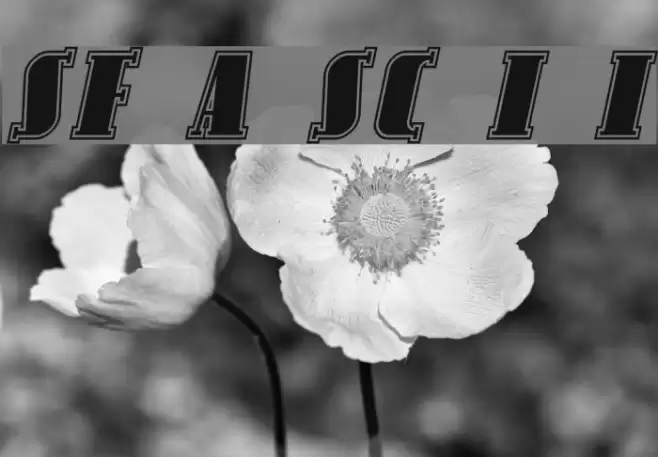 SF Avondale SC Inline Italic Font examples