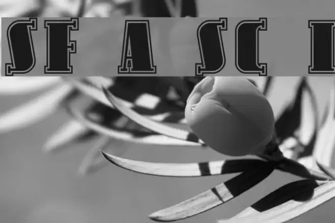 SF Avondale SC Inline Font examples