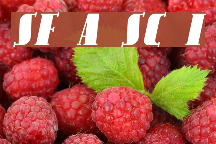SF Avondale SC Italic Font examples