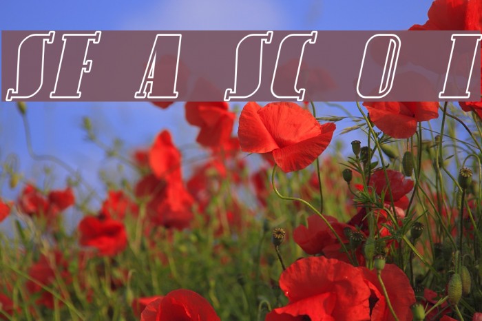 SF Avondale SC Outline Italic Example 3