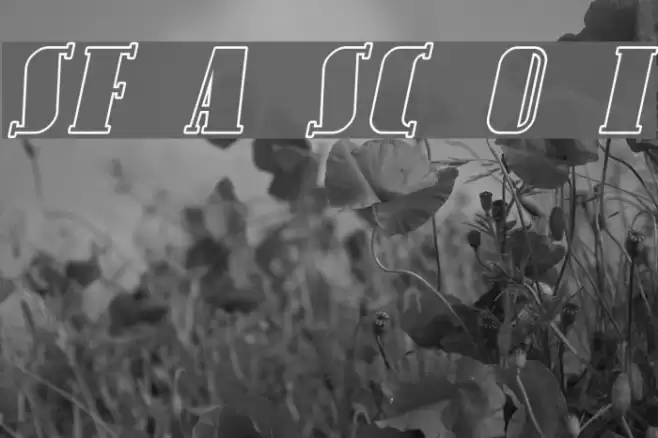 SF Avondale SC Outline Italic Font examples