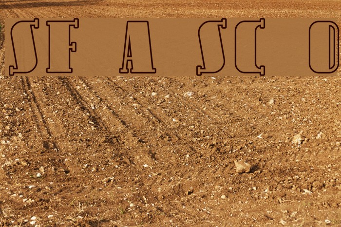 SF Avondale SC Outline Font examples
