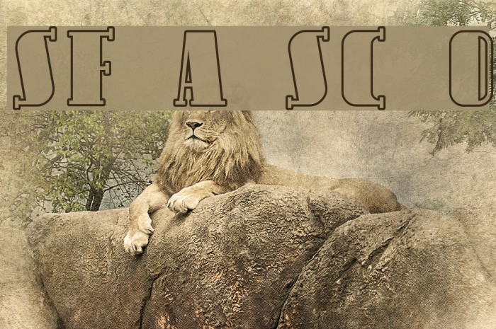 SF Avondale SC Outline Font examples