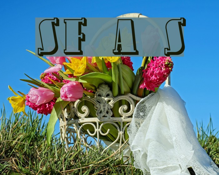 SF Avondale Shaded Font examples