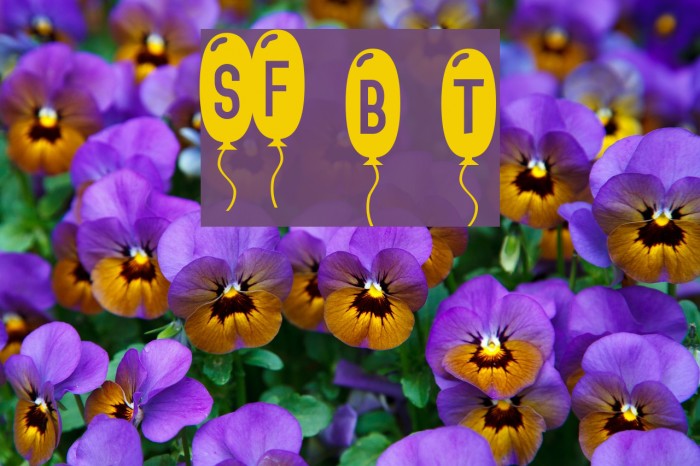 SF Balloons Thin Font examples