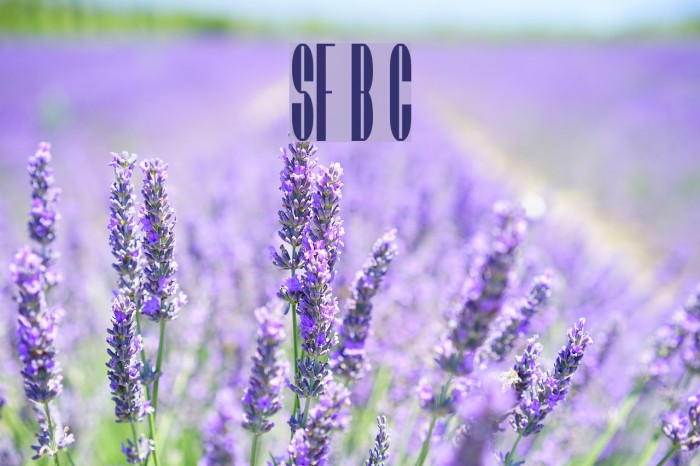 SF Baroquesque Condensed Font examples