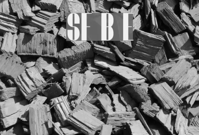 SF Baroquesque Extended フォント examples