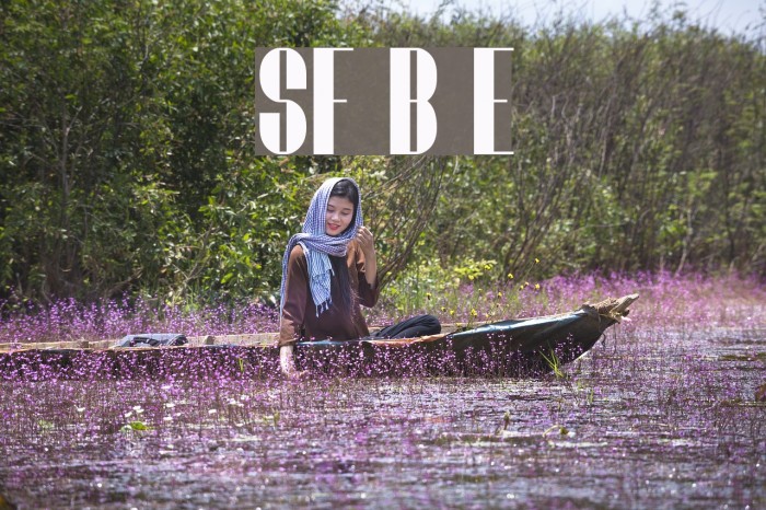 SF Baroquesque Extended Font examples