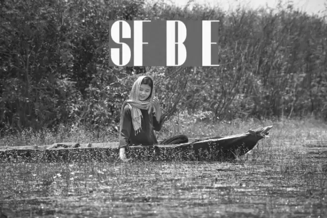 SF Baroquesque Extended フォント examples