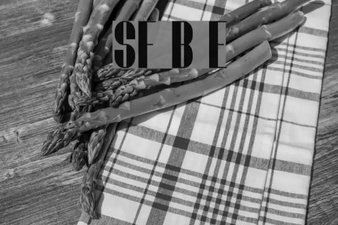 SF Baroquesque Extended フォント examples