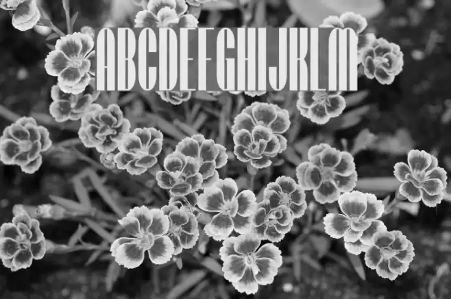 SF Baroquesque Schriftart examples