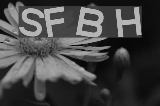 SF Beaverton Heavy Font examples