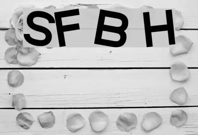 SF Beaverton Heavy Font examples