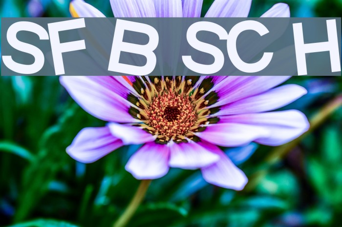 SF Beaverton SC Heavy Font examples