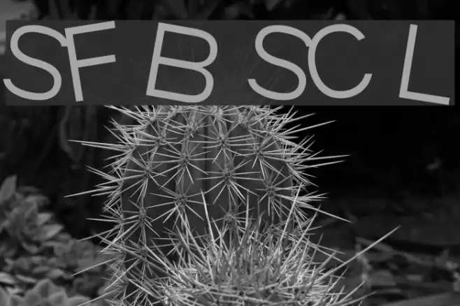 SF Beaverton SC Light Fonte examples