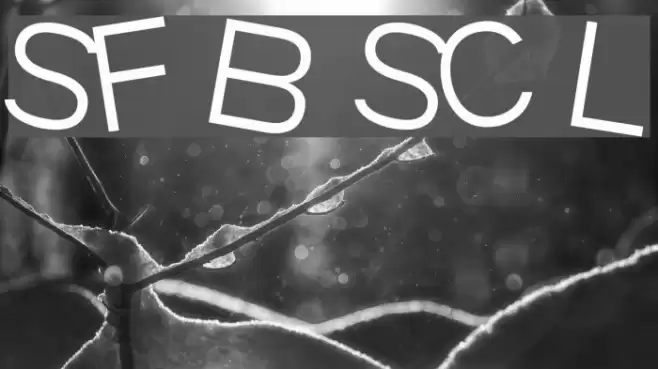 SF Beaverton SC Light Fonte examples