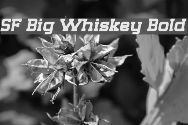 SF Big Whiskey Bold Font examples