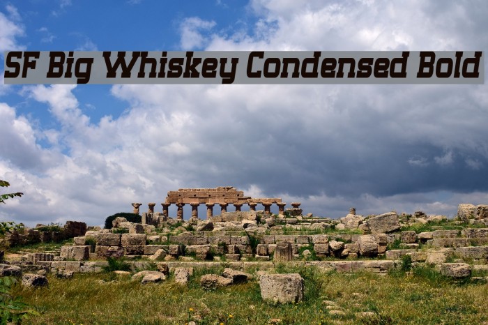 SF Big Whiskey Condensed Bold Font examples