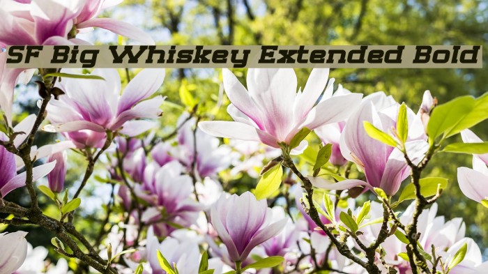 SF Big Whiskey Extended Bold フォント examples