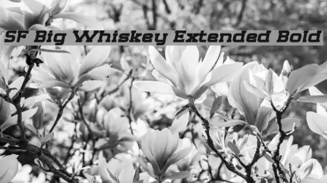 SF Big Whiskey Extended Bold Font examples