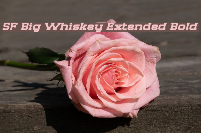 SF Big Whiskey Extended Bold フォント examples