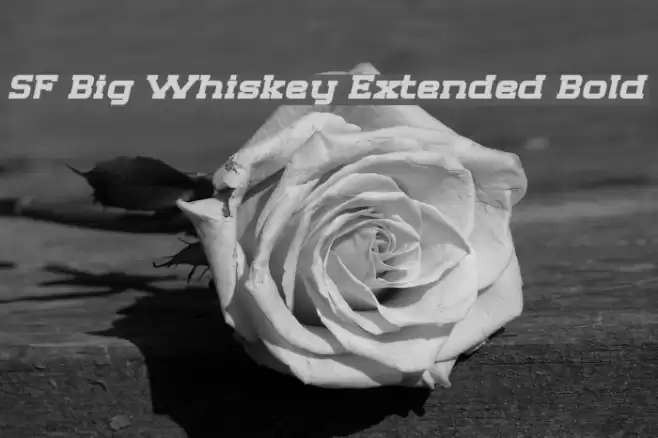 SF Big Whiskey Extended Bold Font examples