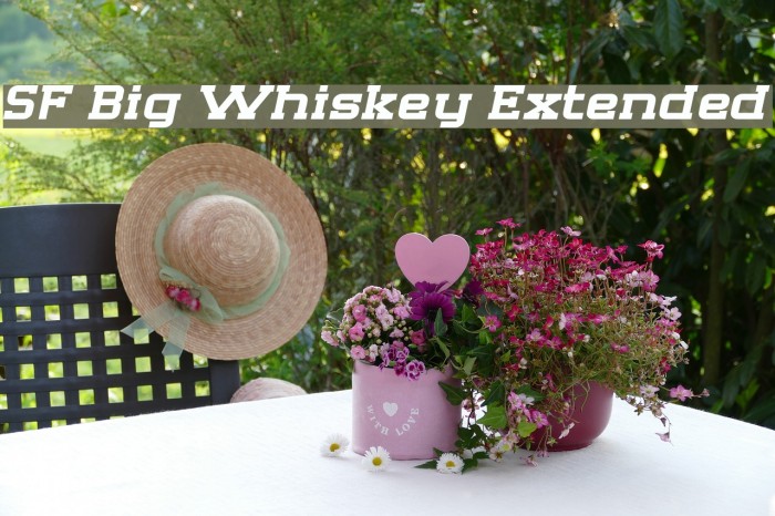 SF Big Whiskey Extended Font examples