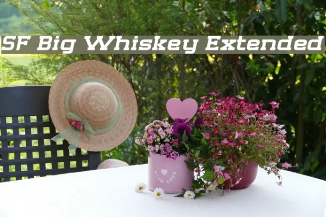 SF Big Whiskey Extended Example 2
