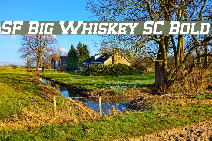 SF Big Whiskey SC Bold Schriftart examples
