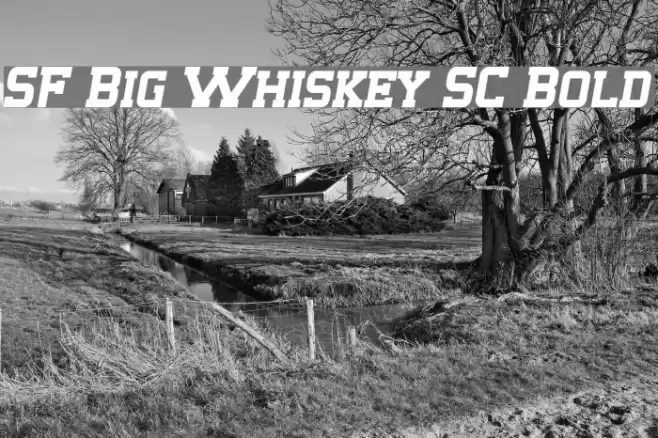 SF Big Whiskey SC Bold Schriftart examples