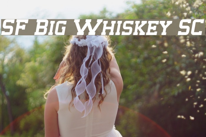 SF Big Whiskey SC Fuentes examples