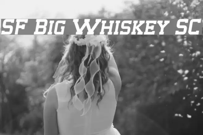 SF Big Whiskey SC Fuentes examples