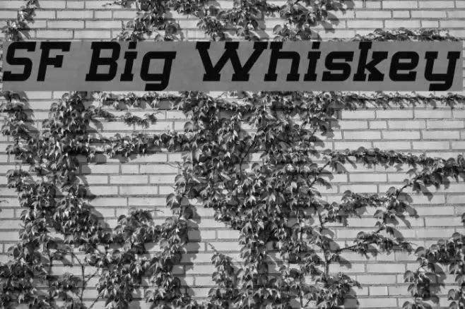 SF Big Whiskey Font examples
