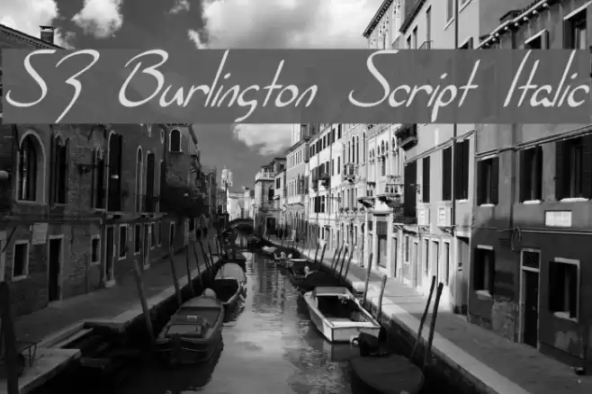 SF Burlington Script Italic फ़ॉन्ट examples