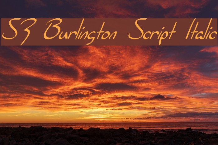 SF Burlington Script Italic फ़ॉन्ट examples