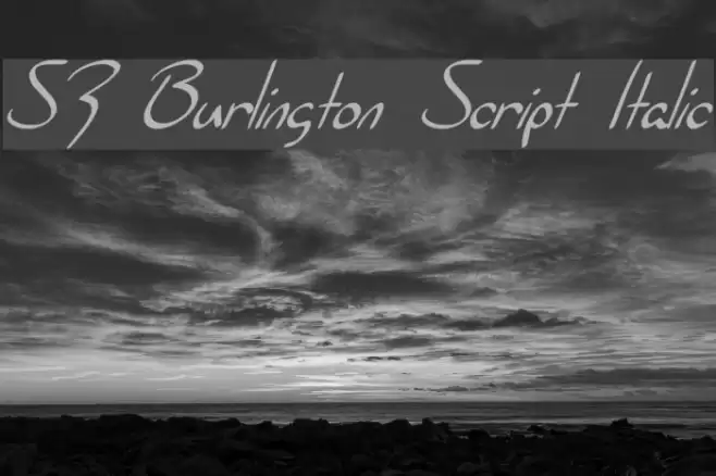 SF Burlington Script Italic फ़ॉन्ट examples