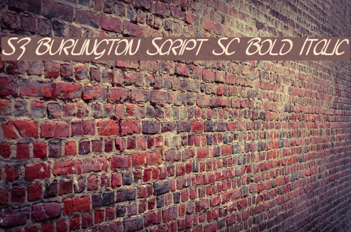 SF Burlington Script SC Bold Italic Font examples