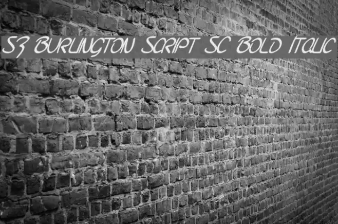 SF Burlington Script SC Bold Italic Polices examples