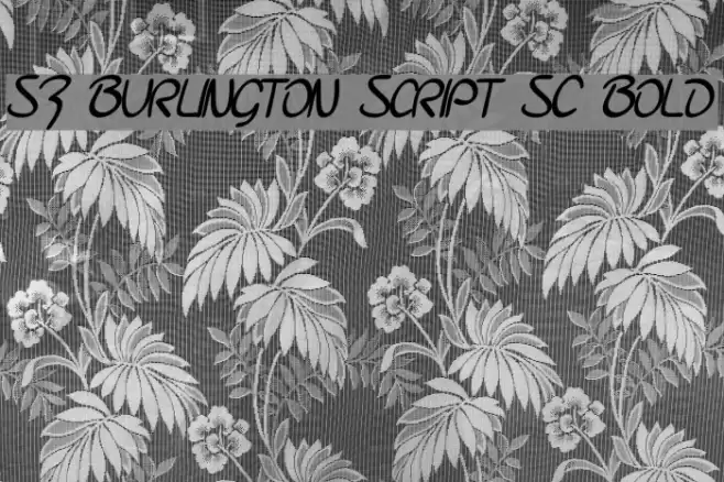 SF Burlington Script SC Bold Font examples