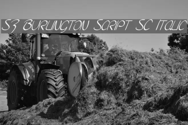 SF Burlington Script SC Italic Font examples