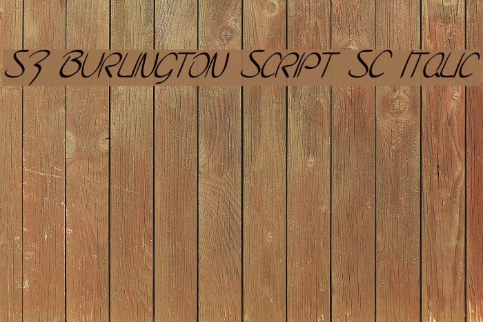 SF Burlington Script SC Italic Font examples